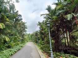 Capitol Park (D11), Detached #614627471